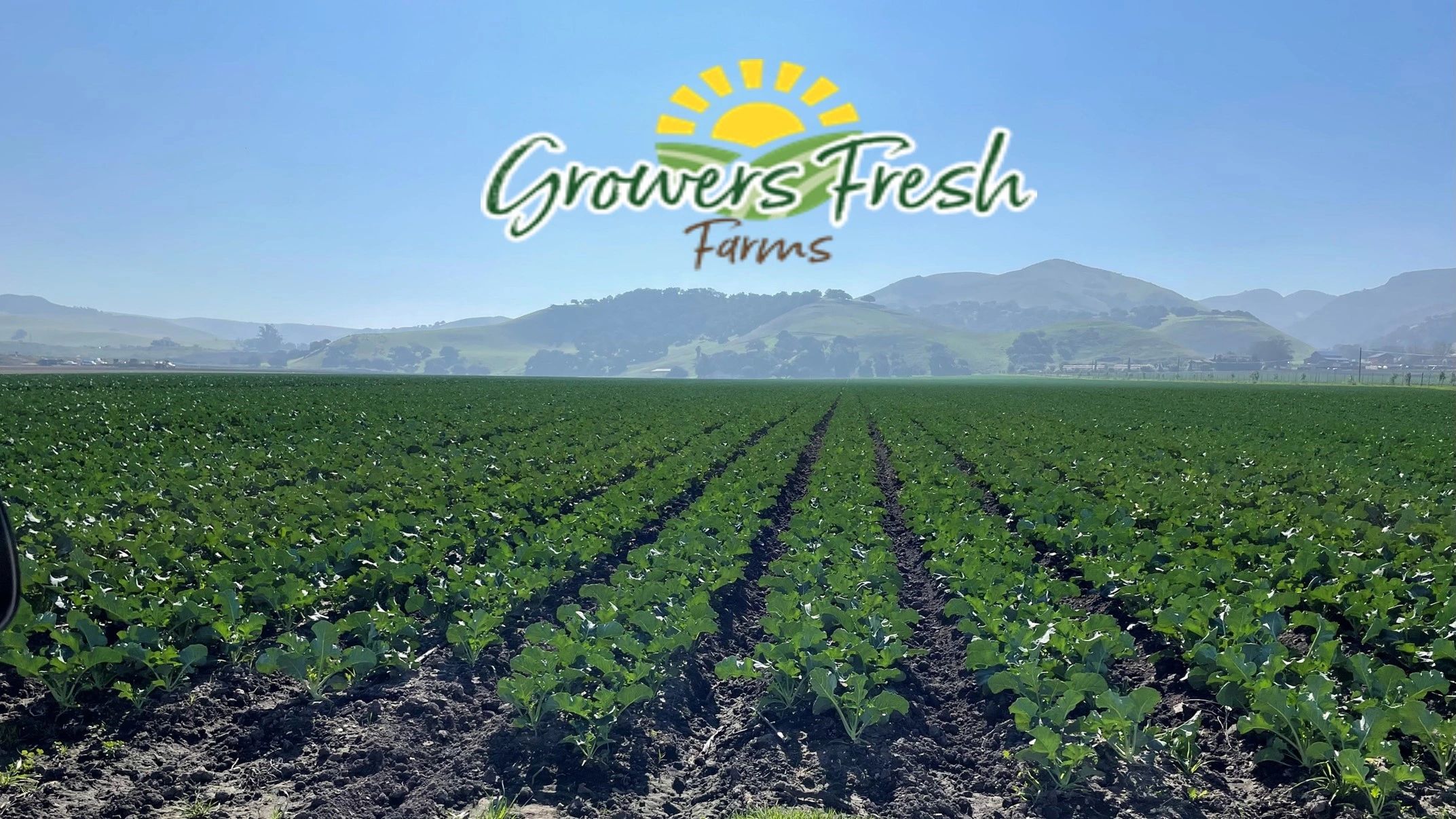 Growers Fresh Farms, Llc